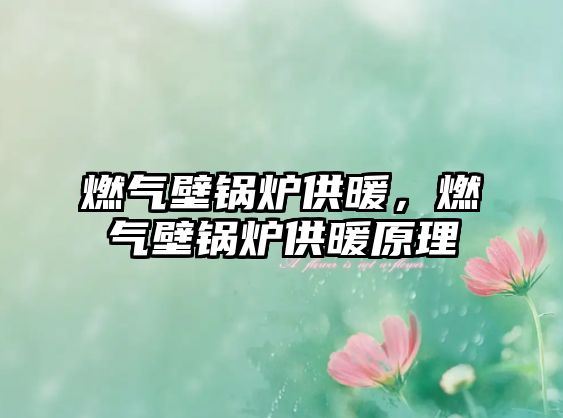 燃氣壁鍋爐供暖，燃氣壁鍋爐供暖原理