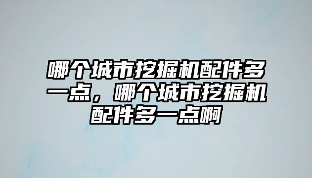 哪個城市挖掘機配件多一點，哪個城市挖掘機配件多一點啊