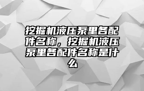 挖掘機(jī)液壓泵里各配件名稱，挖掘機(jī)液壓泵里各配件名稱是什么