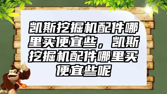 凱斯挖掘機配件哪里買便宜些，凱斯挖掘機配件哪里買便宜些呢