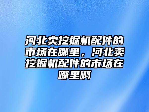 河北賣挖掘機配件的市場在哪里，河北賣挖掘機配件的市場在哪里啊