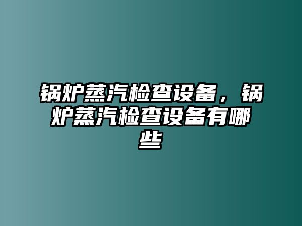 鍋爐蒸汽檢查設(shè)備，鍋爐蒸汽檢查設(shè)備有哪些