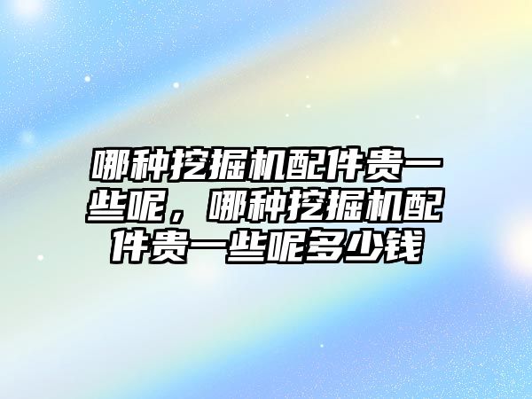 哪種挖掘機配件貴一些呢，哪種挖掘機配件貴一些呢多少錢