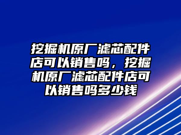 挖掘機原廠濾芯配件店可以銷售嗎，挖掘機原廠濾芯配件店可以銷售嗎多少錢