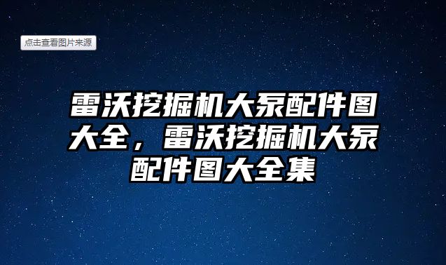 雷沃挖掘機大泵配件圖大全，雷沃挖掘機大泵配件圖大全集