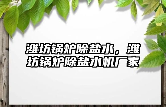 濰坊鍋爐除鹽水，濰坊鍋爐除鹽水機廠家