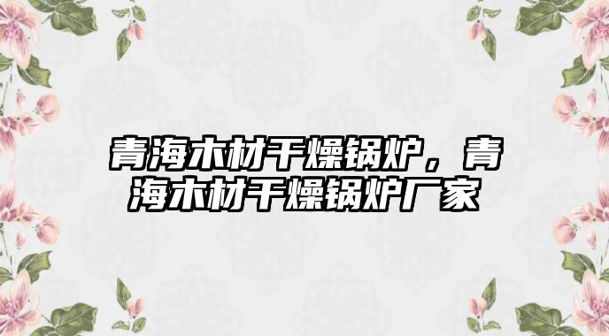 青海木材干燥鍋爐，青海木材干燥鍋爐廠家