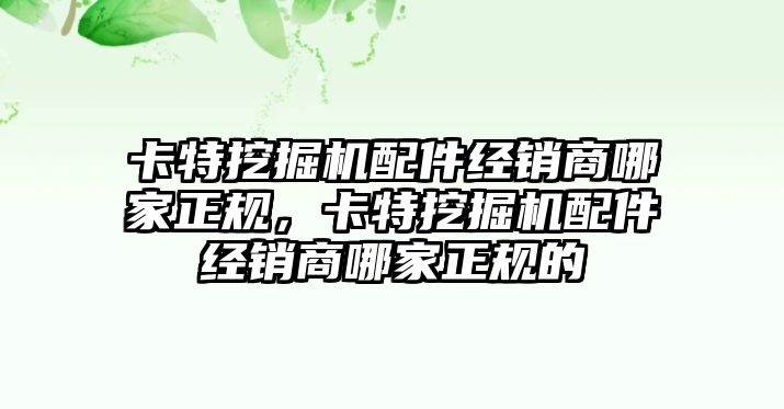 卡特挖掘機(jī)配件經(jīng)銷商哪家正規(guī)，卡特挖掘機(jī)配件經(jīng)銷商哪家正規(guī)的