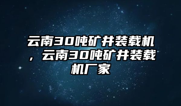 云南30噸礦井裝載機(jī)，云南30噸礦井裝載機(jī)廠家