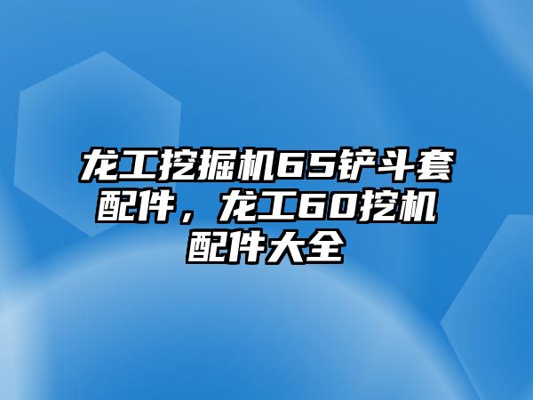 龍工挖掘機(jī)65鏟斗套配件，龍工60挖機(jī)配件大全