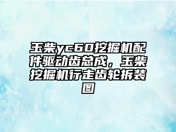 玉柴yc60挖掘機配件驅(qū)動齒總成，玉柴挖掘機行走齒輪拆裝圖