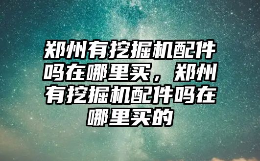 鄭州有挖掘機(jī)配件嗎在哪里買，鄭州有挖掘機(jī)配件嗎在哪里買的