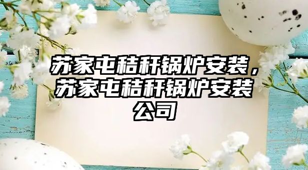 蘇家屯秸稈鍋爐安裝，蘇家屯秸稈鍋爐安裝公司