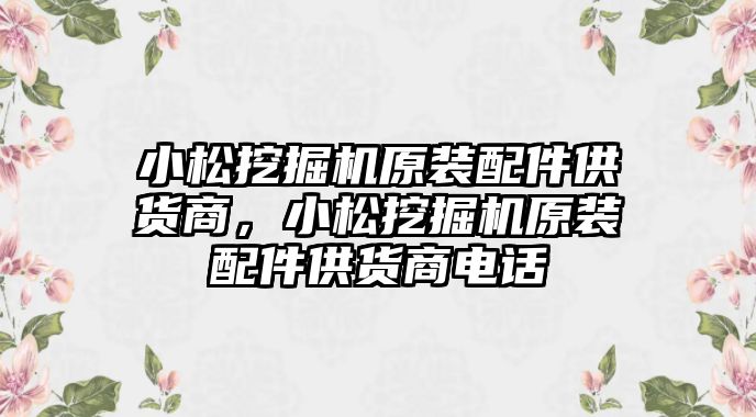 小松挖掘機(jī)原裝配件供貨商，小松挖掘機(jī)原裝配件供貨商電話