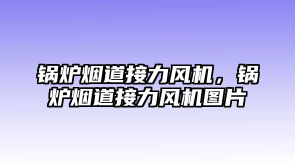 鍋爐煙道接力風(fēng)機(jī)，鍋爐煙道接力風(fēng)機(jī)圖片