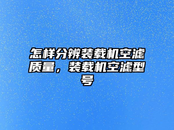 怎樣分辨裝載機空濾質量，裝載機空濾型號