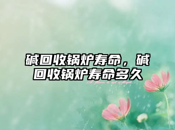 堿回收鍋爐壽命，堿回收鍋爐壽命多久