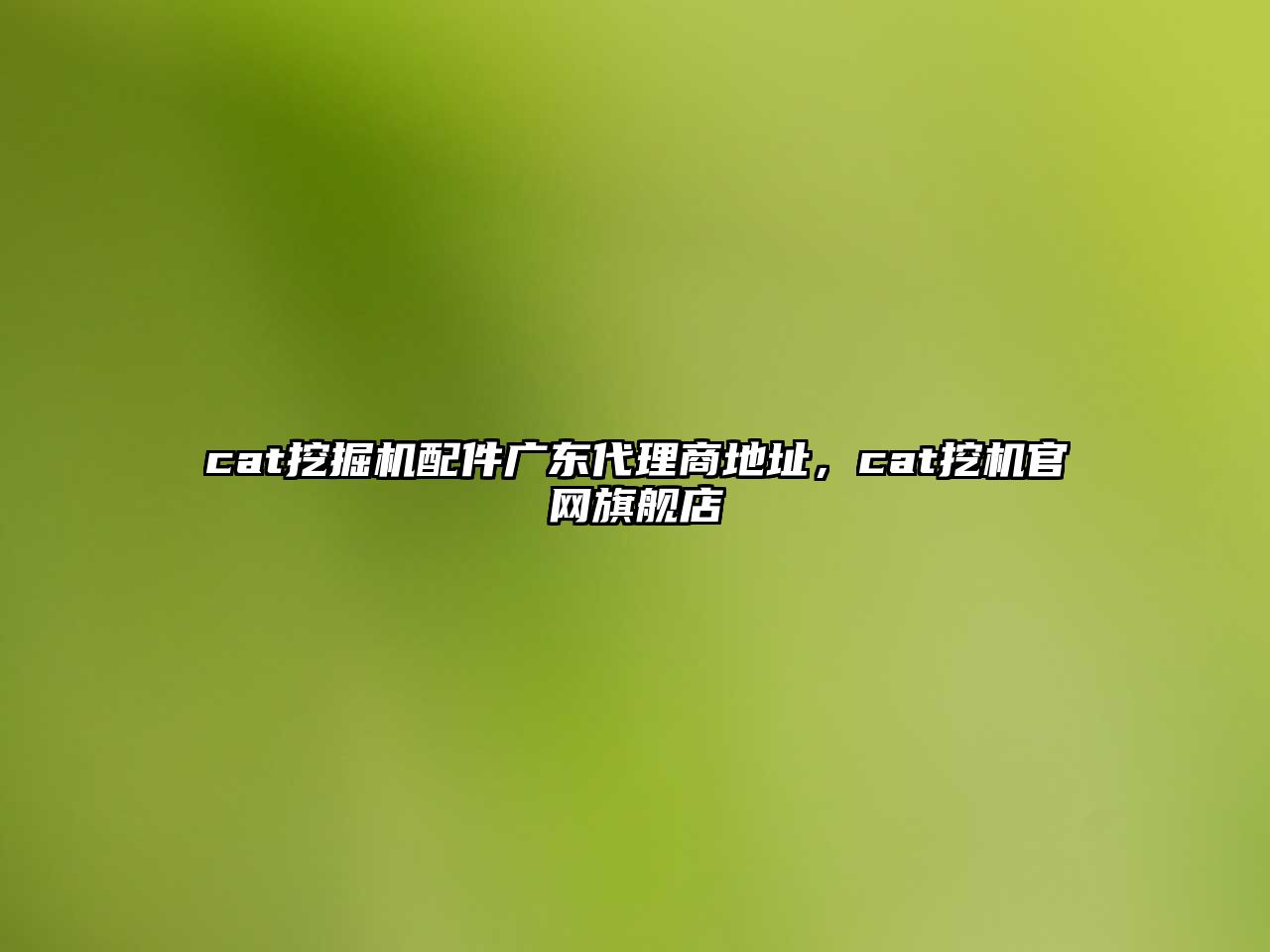 cat挖掘機配件廣東代理商地址，cat挖機官網(wǎng)旗艦店