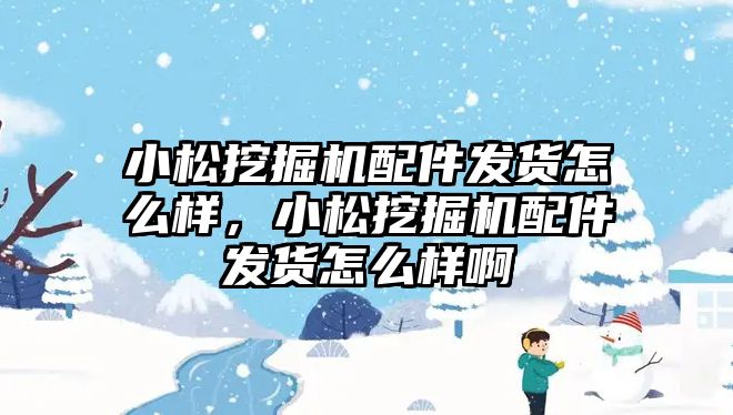 小松挖掘機配件發(fā)貨怎么樣，小松挖掘機配件發(fā)貨怎么樣啊