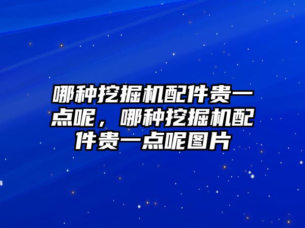 哪種挖掘機配件貴一點呢，哪種挖掘機配件貴一點呢圖片