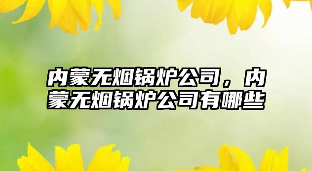 內(nèi)蒙無煙鍋爐公司，內(nèi)蒙無煙鍋爐公司有哪些