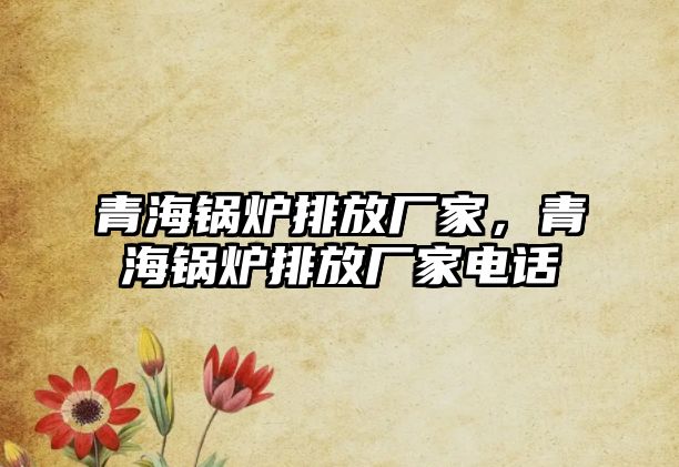 青海鍋爐排放廠家，青海鍋爐排放廠家電話