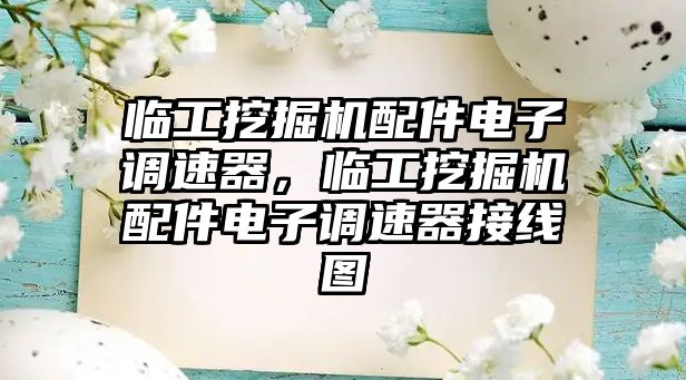 臨工挖掘機配件電子調速器，臨工挖掘機配件電子調速器接線圖