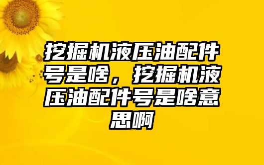 挖掘機(jī)液壓油配件號是啥，挖掘機(jī)液壓油配件號是啥意思啊