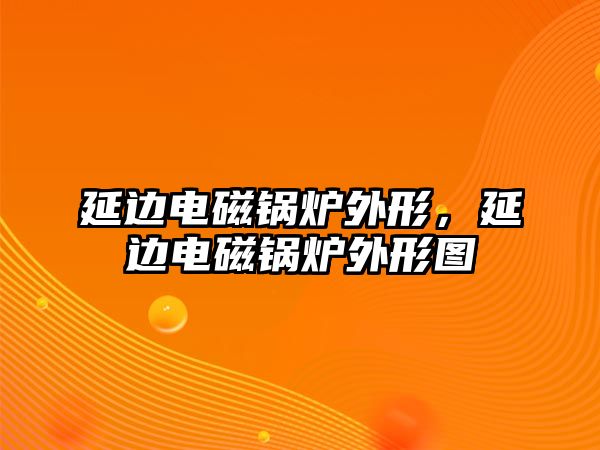 延邊電磁鍋爐外形，延邊電磁鍋爐外形圖