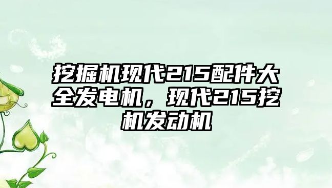 挖掘機(jī)現(xiàn)代215配件大全發(fā)電機(jī)，現(xiàn)代215挖機(jī)發(fā)動(dòng)機(jī)