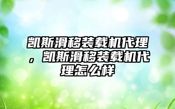 凱斯滑移裝載機(jī)代理，凱斯滑移裝載機(jī)代理怎么樣