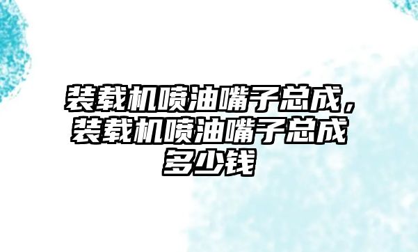 裝載機噴油嘴子總成，裝載機噴油嘴子總成多少錢