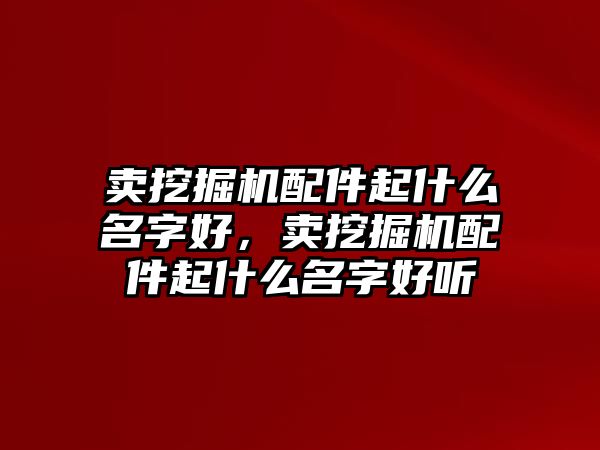 賣挖掘機配件起什么名字好，賣挖掘機配件起什么名字好聽