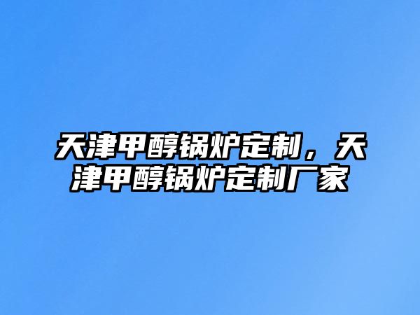 天津甲醇鍋爐定制，天津甲醇鍋爐定制廠家