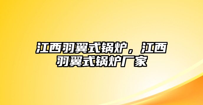 江西羽翼式鍋爐，江西羽翼式鍋爐廠家