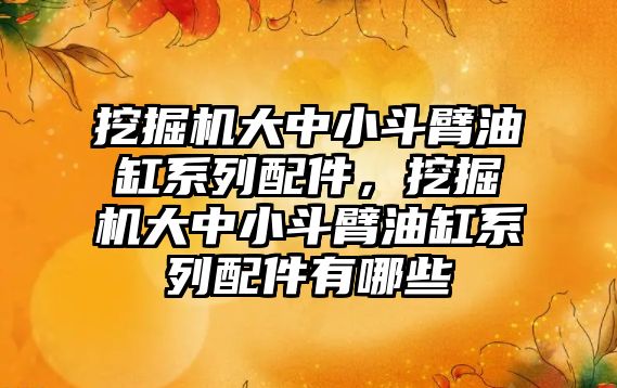 挖掘機大中小斗臂油缸系列配件，挖掘機大中小斗臂油缸系列配件有哪些