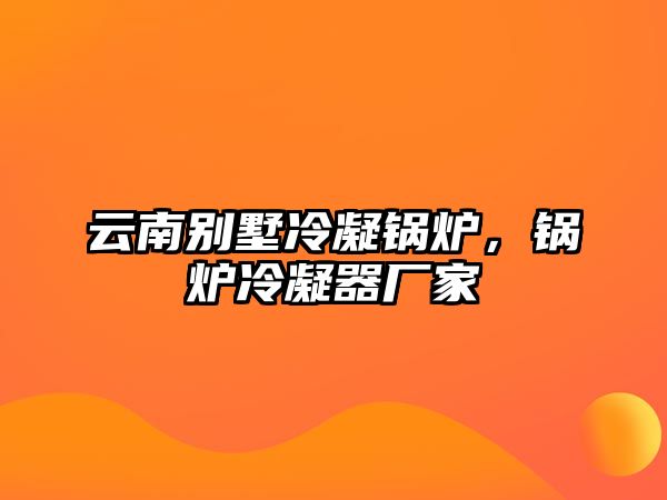 云南別墅冷凝鍋爐，鍋爐冷凝器廠家