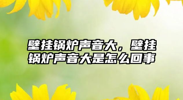 壁掛鍋爐聲音大，壁掛鍋爐聲音大是怎么回事