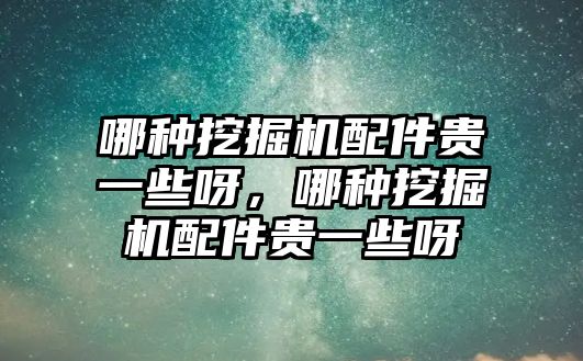 哪種挖掘機配件貴一些呀，哪種挖掘機配件貴一些呀