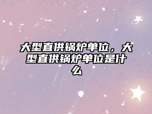 大型直供鍋爐單位，大型直供鍋爐單位是什么