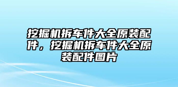 挖掘機(jī)拆車件大全原裝配件，挖掘機(jī)拆車件大全原裝配件圖片