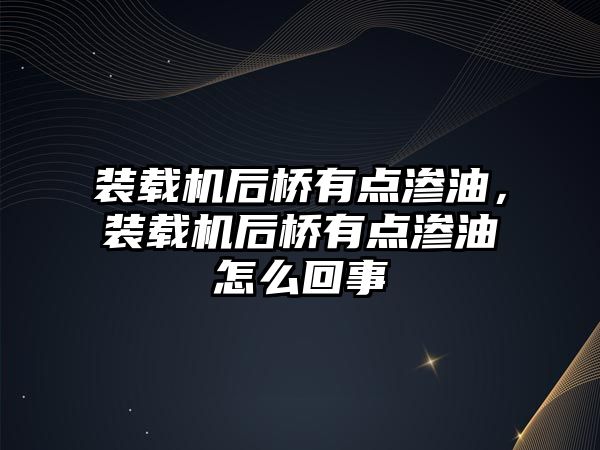 裝載機后橋有點滲油，裝載機后橋有點滲油怎么回事