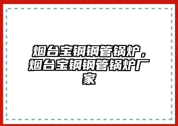 煙臺寶鋼鋼管鍋爐，煙臺寶鋼鋼管鍋爐廠家