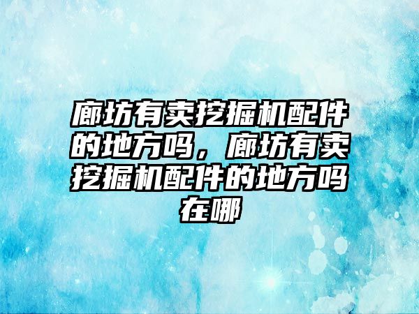 廊坊有賣挖掘機配件的地方嗎，廊坊有賣挖掘機配件的地方嗎在哪