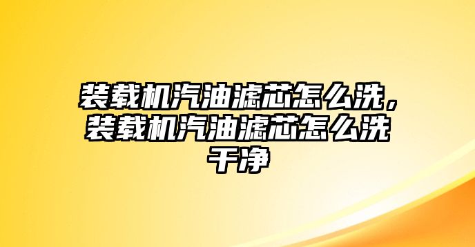 裝載機(jī)汽油濾芯怎么洗，裝載機(jī)汽油濾芯怎么洗干凈