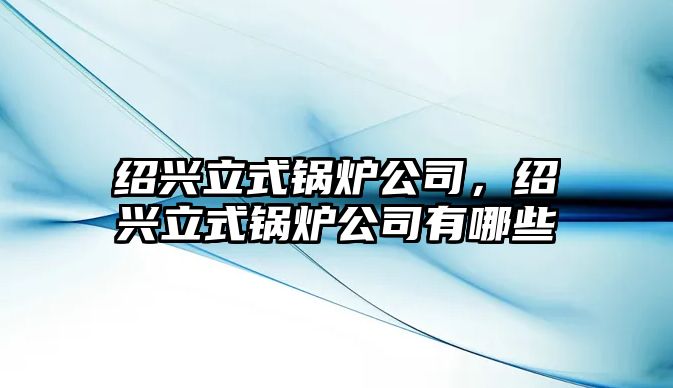 紹興立式鍋爐公司，紹興立式鍋爐公司有哪些