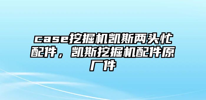 case挖掘機(jī)凱斯兩頭忙配件，凱斯挖掘機(jī)配件原廠件