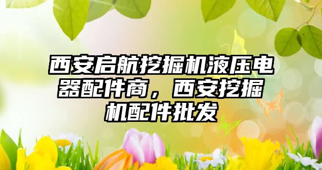 西安啟航挖掘機液壓電器配件商，西安挖掘機配件批發(fā)