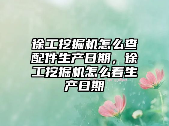 徐工挖掘機怎么查配件生產日期，徐工挖掘機怎么看生產日期