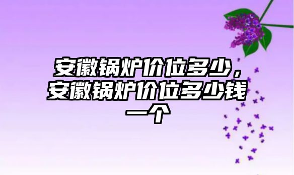 安徽鍋爐價(jià)位多少，安徽鍋爐價(jià)位多少錢(qián)一個(gè)